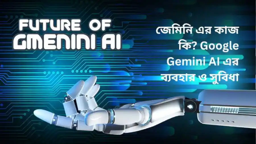 gemini এর কাজ কি