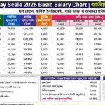 Pay Scale 2026 Basic Salary Chart