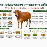 গরু মোটাতাজাকরণ খাদ্য তালিকা