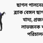 ছাগল পালনের পদ্ধতি