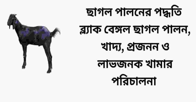 ছাগল পালনের পদ্ধতি