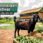 ছাগল মোটাতাজাকরণ খাদ্য তালিকা