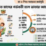 গর্ভবতী মায়ের সরকারি ভাতা ২০২৬