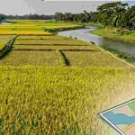 জমি রেজিস্ট্রি খরচ