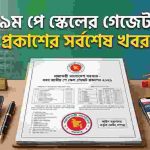 ৯ম পে স্কেলের গেজেট প্রকাশের সর্বশেষ খবর