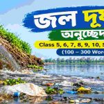 Water Pollution Paragraph